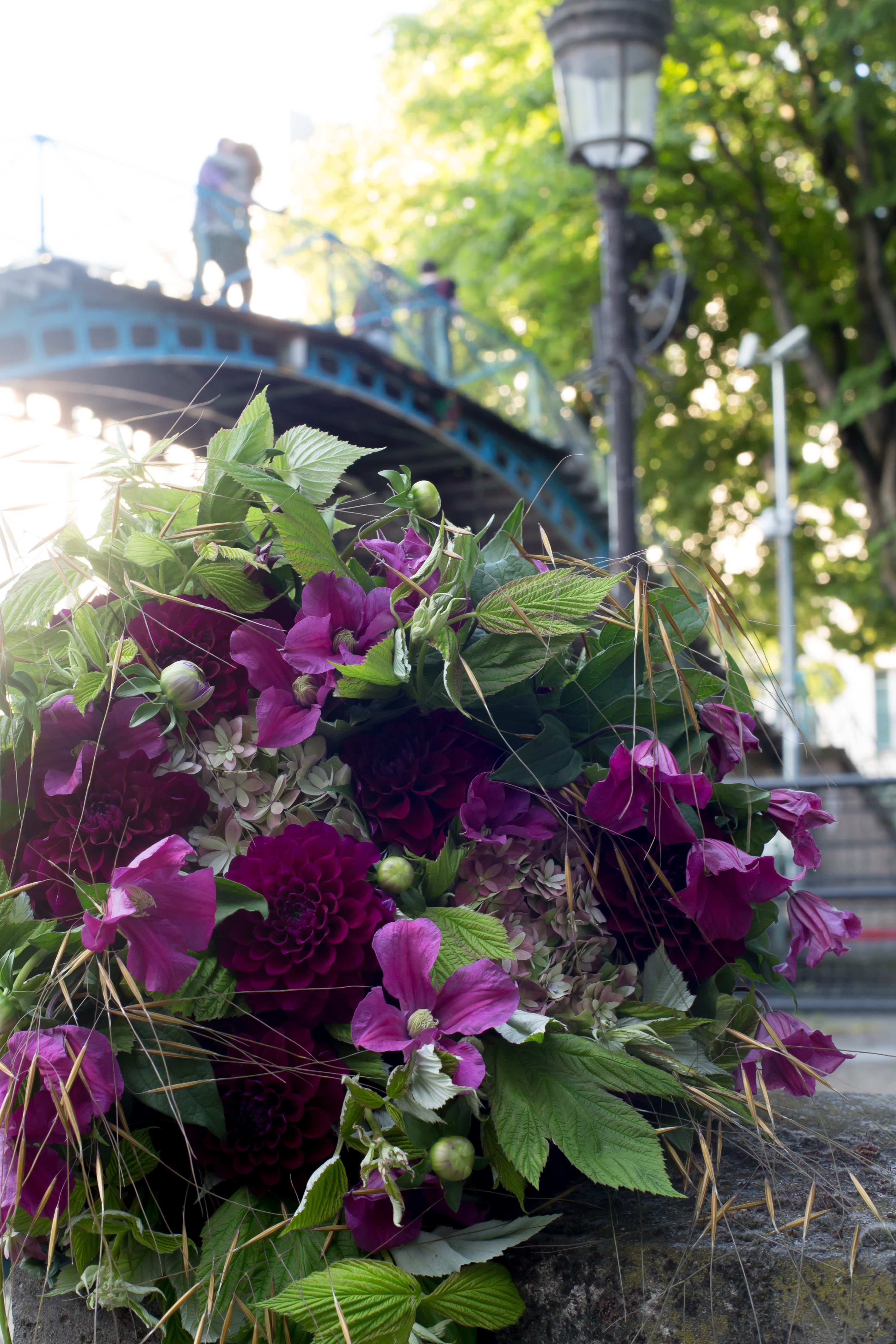 http://www.illony.com/avec_les_fleurs/798A0520.jpg
