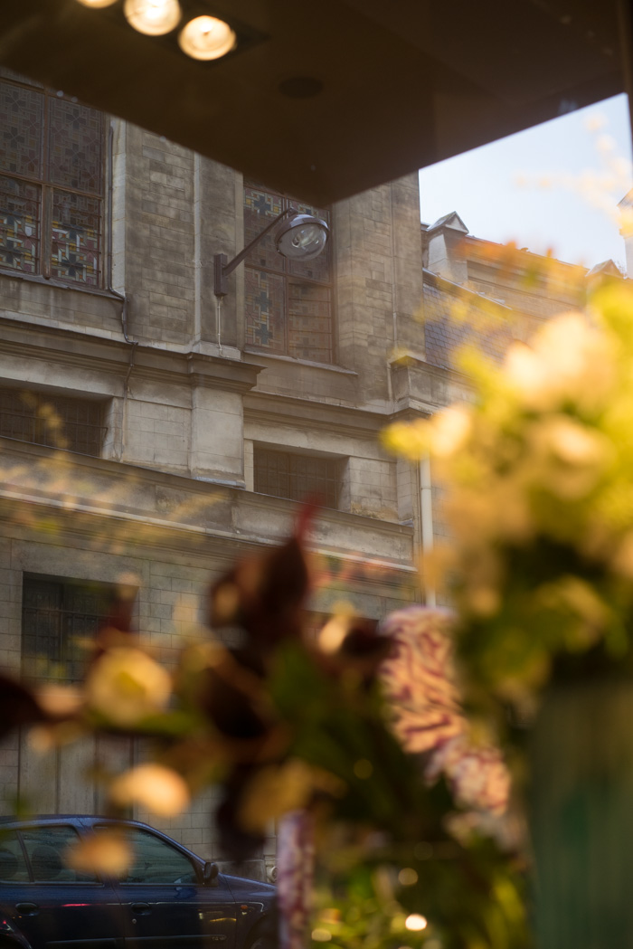 http://www.illony.com/avec_les_fleurs/DSC07877.jpg