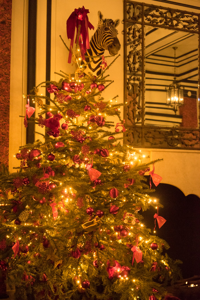 http://www.illony.com/avec_les_fleurs/xDSC05408.jpg