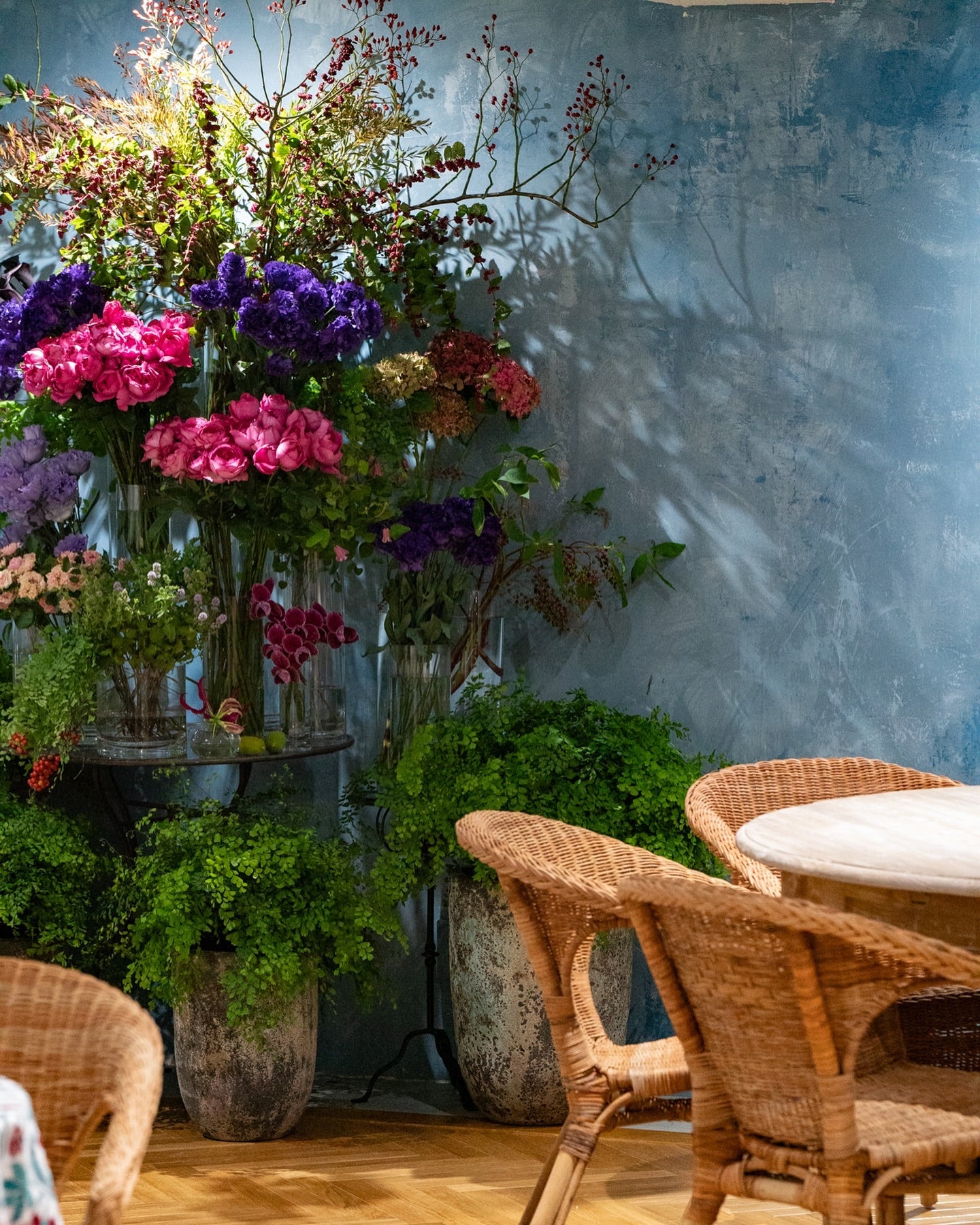 アイロニーの花を見てくださる皆様へ。