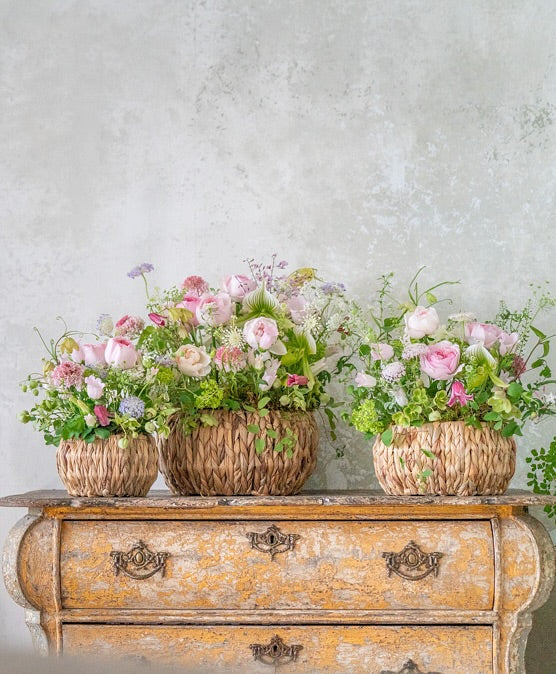 母の日(5/11)の贈り花の予約受付中です!