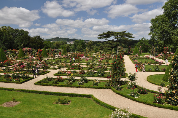 Jardin_de_Bagatelle_001.JPG