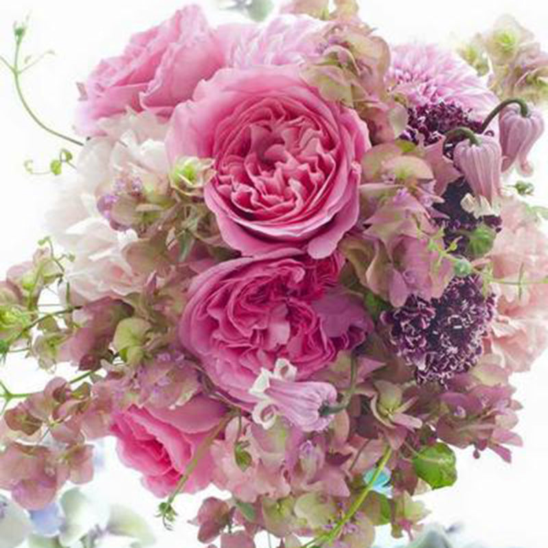 Le premier<p>プルミエクラス</p>