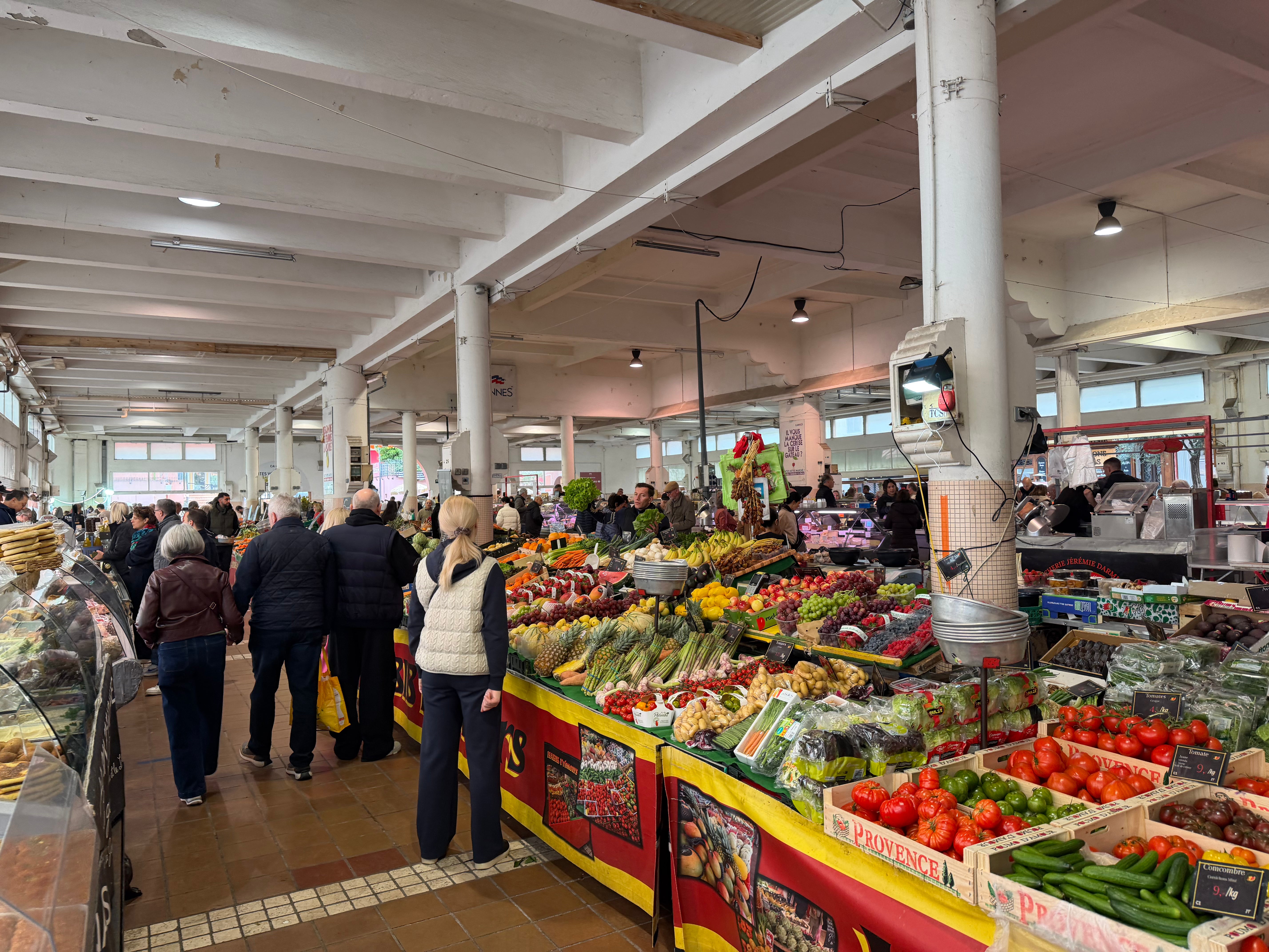 南フランス ミモザツアー 2027年2月下旬〜３月上旬開催予定