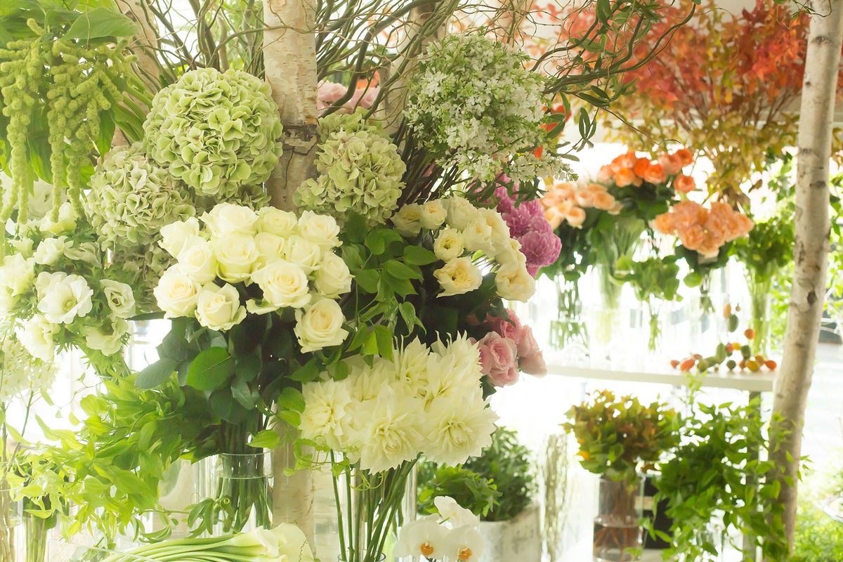 明るい光のなかに白と緑の花が並ぶ店内