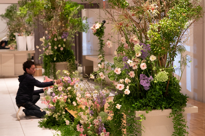 店舗情報 芦屋 南青山 パリの花屋 Jardin Du I Llony アイロニー ショップインフォメーション